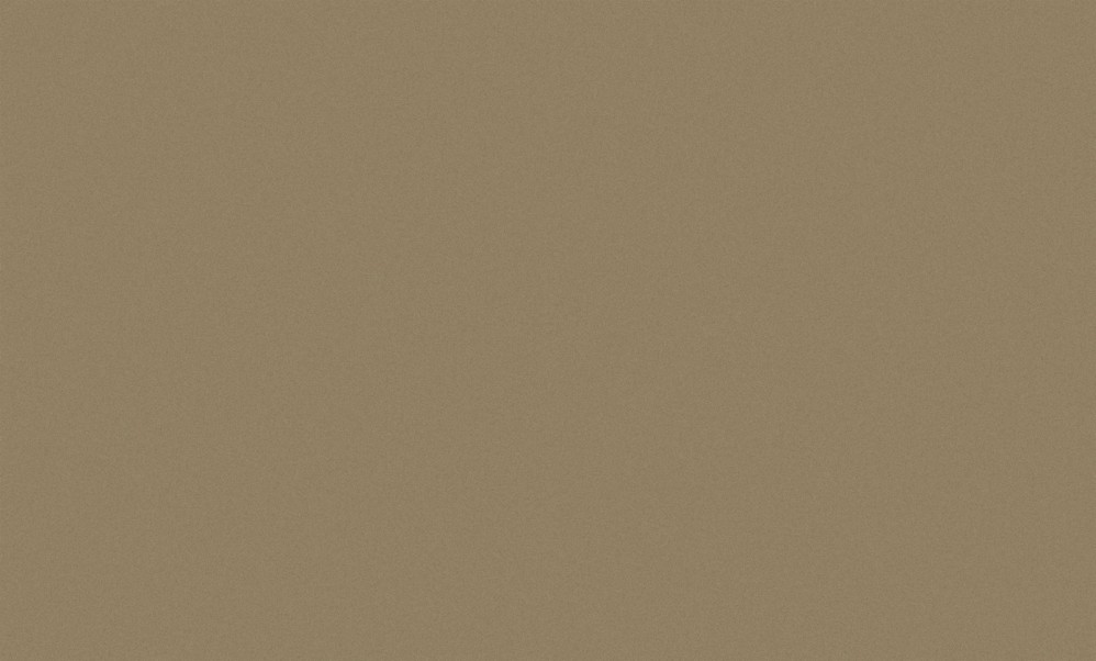 Обои виниловые коричневые однотонные Антураж Shine арт. 168435-02